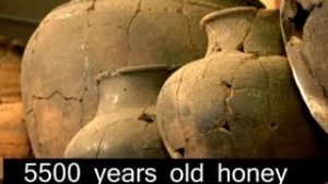 5500 year old honey