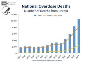 Drug caused deaths increases more each year!